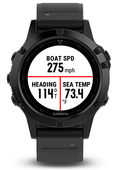 GNT 10 Garmin Connect IQ