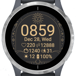 Garmin connect store gear s3