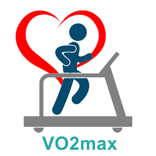 Vivoactive hr vo2 online max