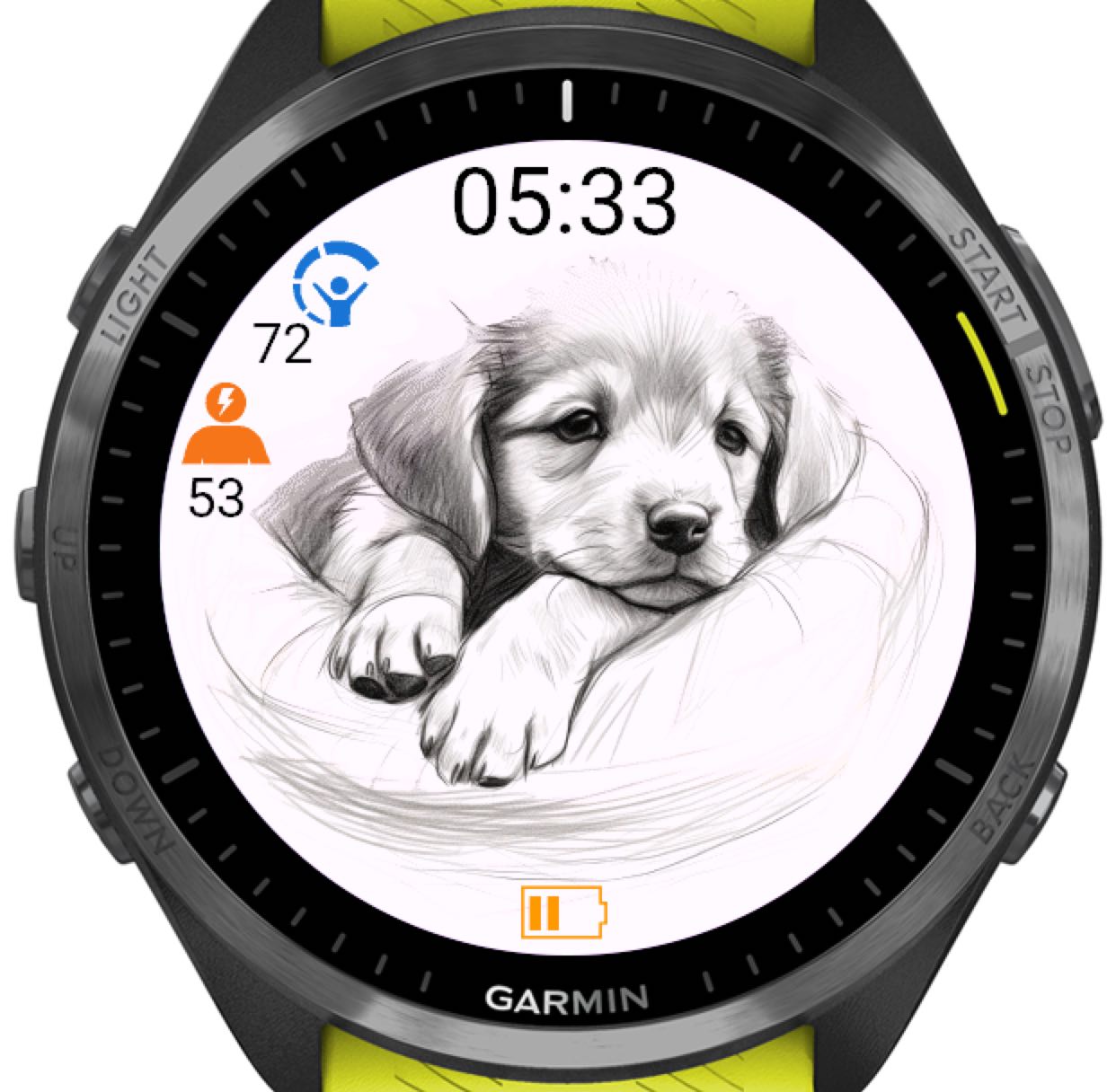 App Icon