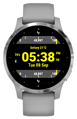 Speedo on samsung galaxy on sale watch