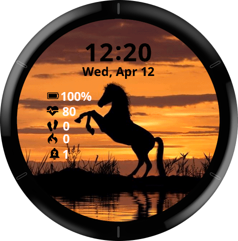 Garmin connect store horseback riding