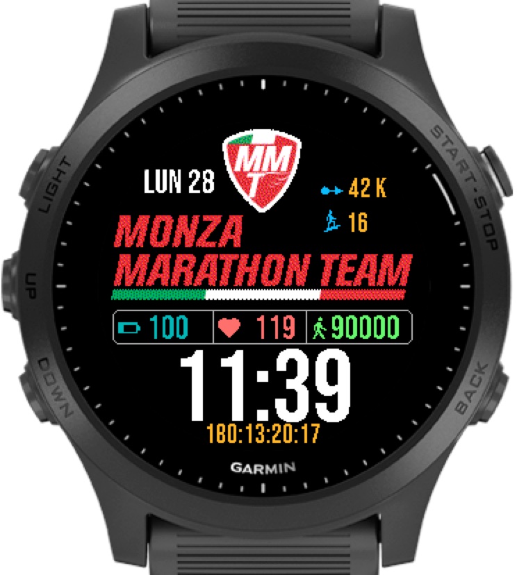garmin connected watch