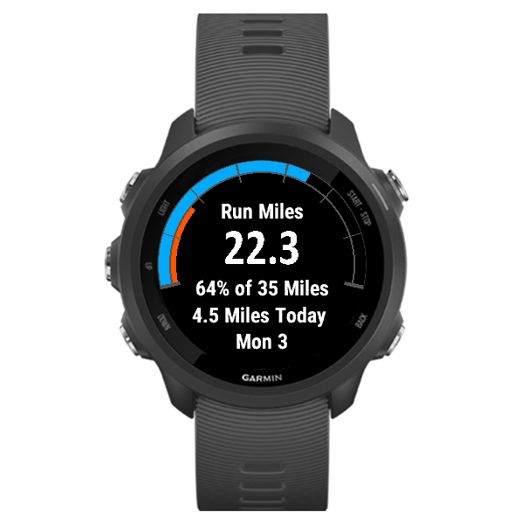 Garmin sale distance watch