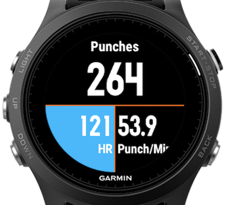 Garmin boxing store