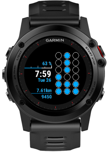 garmin ionic