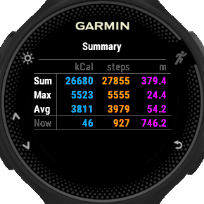 Activity Overview | Garmin Connect IQ