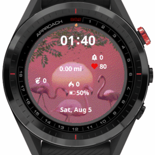 Garmin best sale s60 app