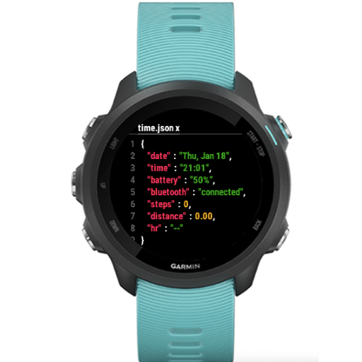 Garmin 245 2024 watch face