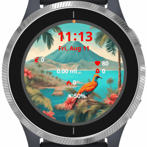 App Icon