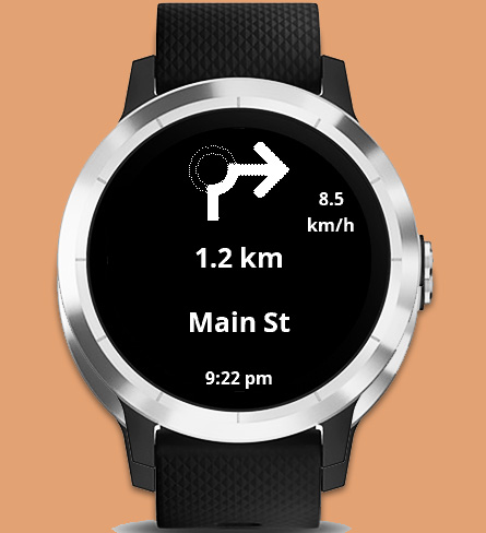 Garmin vivoactive store google maps