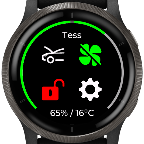 Garmin store fenix apps