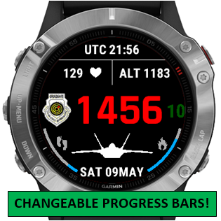 Garmin fenix 6 aviation hotsell